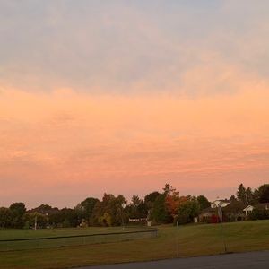 Meet your Posher, Josephine